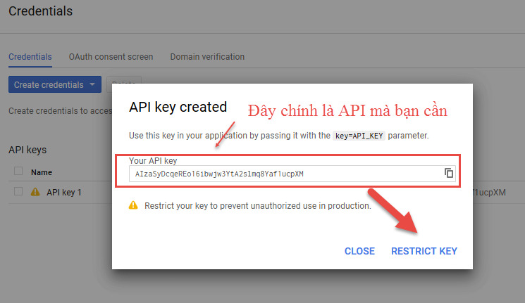 Dùng Your API Key để cài đặt vào website hoặc App cần sử dụng Google Maps API.