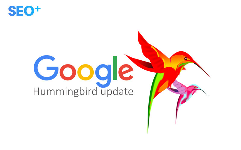 google hummingbird
