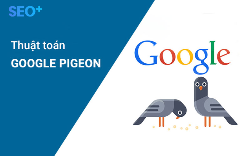 Google Pigeon là gì?