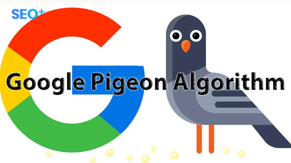 Google Pigeon là gì? Cách SEO TOP #1 bằng Google Pigeon Algorithm