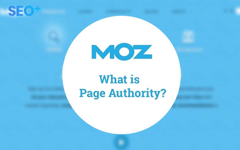 page authority