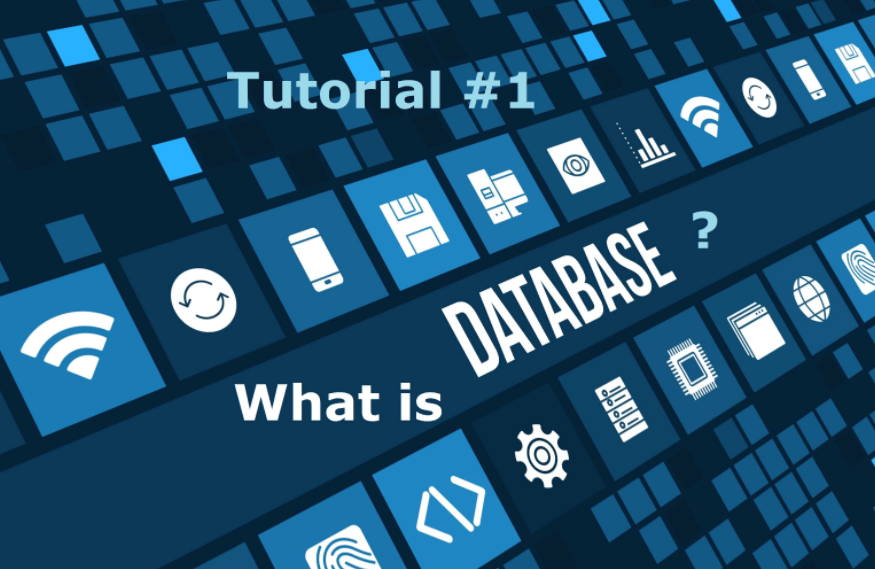 Database là gì,Database