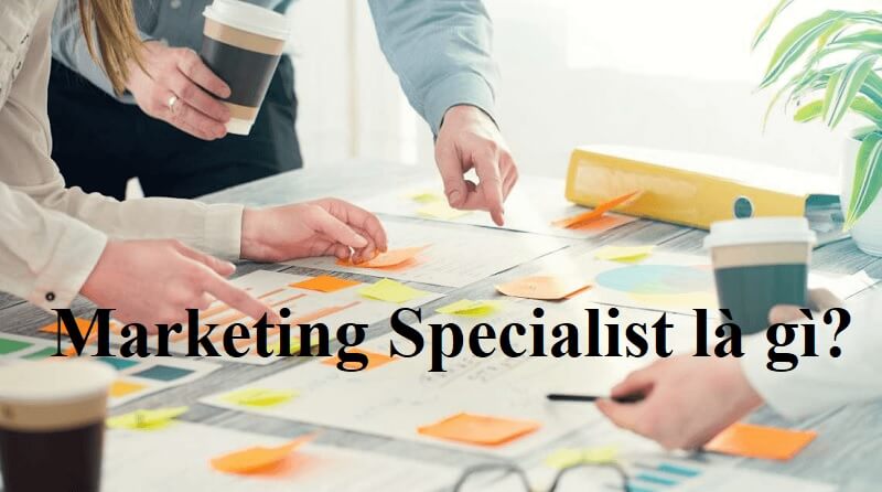 SEO Specialist