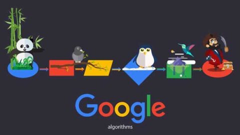 Algorithm là gì? Algorithm nào quan trọng nhất trong SEO 2022