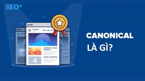 Thẻ canonical là gì? Bí quyết lên TOP với thẻ canonical