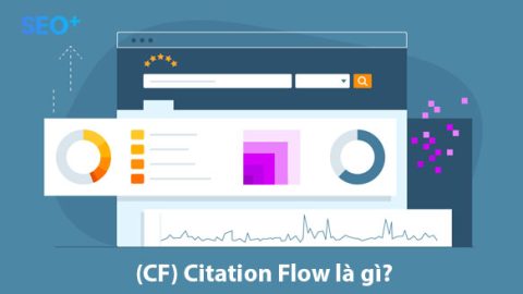 Citation Flow là gì? Tối ưu web với Citation Flow hiệu quả