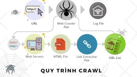 Công cụ tìm kiếm crawl data và index nội dung như thế nào? 