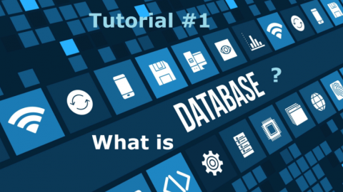 Database là gì? Những điều cần biết về database