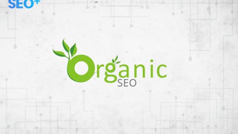 Tăng Gấp 5 Lần Traffic Cùng Dịch Vụ SEO Organic Traffic