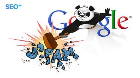 Google Panda là gì? Nguyên nhân bị Thuật toán Panda phạt?