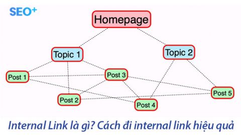 Internal link là gì? 6 cách tối ưu link nội bộ hiệu quả 2022