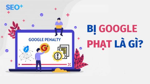 Google Penalty là gì? 8 cách kiểm tra website bị Google phạt