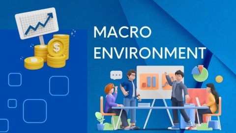 Môi trường marketing là gì? Các yếu tố thuộc môi trường marketing 