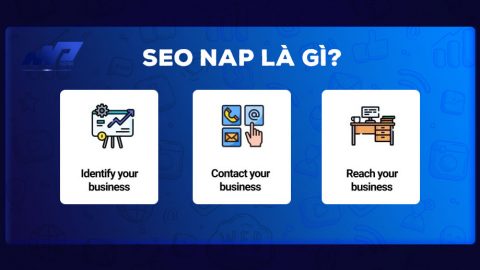 NAP là gì? Tầm quan trọng của NAP trong SEO local?