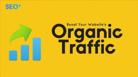 Organic traffic là gì? Hướng dẫn cách tăng organic traffic cho website