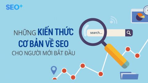 10 yếu tố SEO căn bản mà mọi Web Developer đều phải biết?