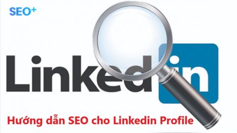 SEO LinkedIn là gì? Cách tối ưu Profile LinkedIn chuẩn SEO