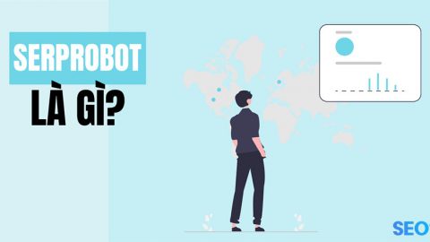 Serprobot là gì? Cách sử dụng Serprobot kiểm tra từ khoá 