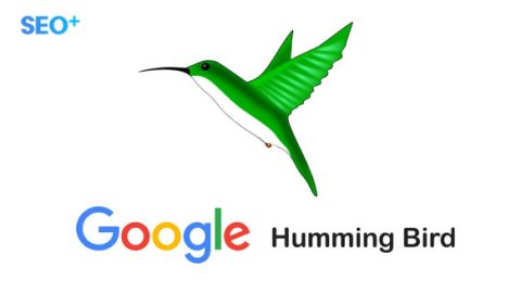 “Bí mật” thuật toán Hummingbird và cách lên Rank TOP #1