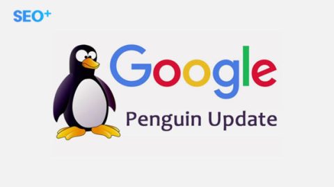 Thuật toán Penguin là gì? Google Penguin trong SEO 2022